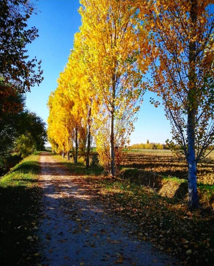 Agriturismo Colombera Quarto dʼAltino Kültér fotó
