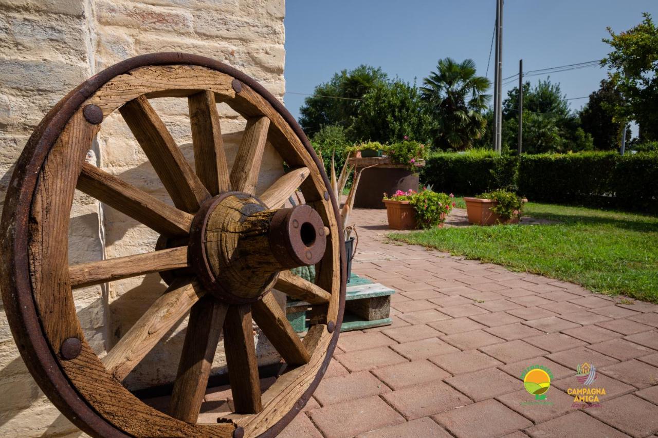 Agriturismo Colombera Quarto dʼAltino Kültér fotó