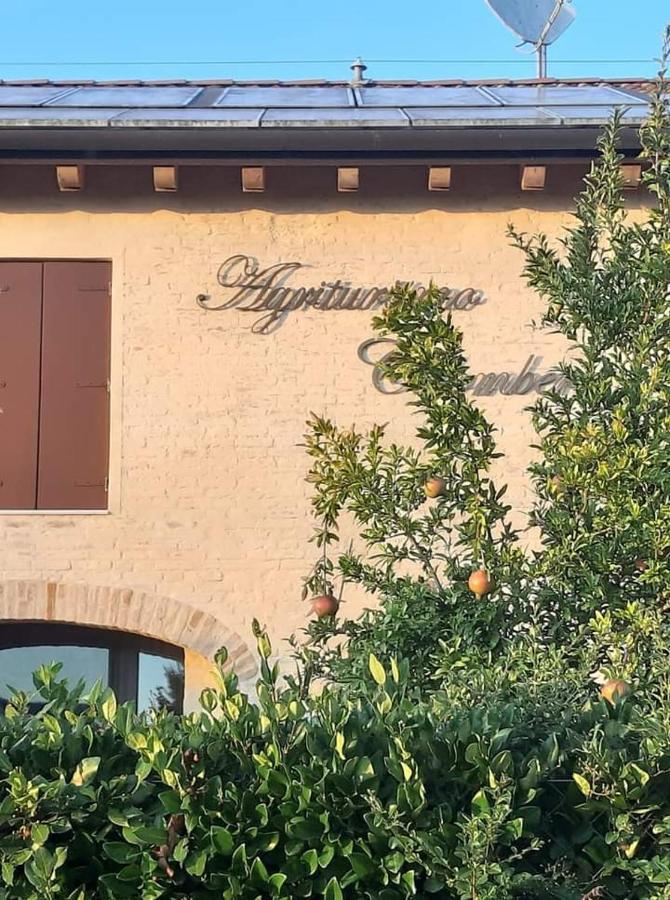 Agriturismo Colombera Quarto dʼAltino Kültér fotó