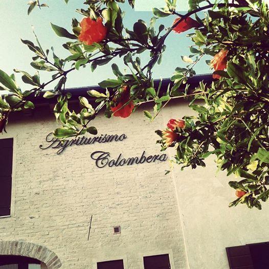 Agriturismo Colombera Quarto dʼAltino Kültér fotó