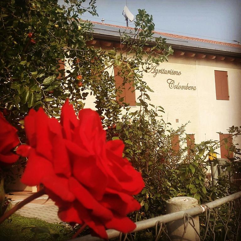 Agriturismo Colombera Quarto dʼAltino Kültér fotó