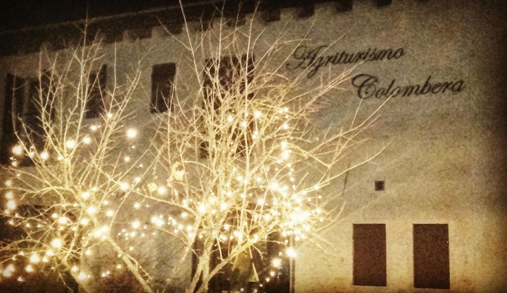 Agriturismo Colombera Quarto dʼAltino Kültér fotó