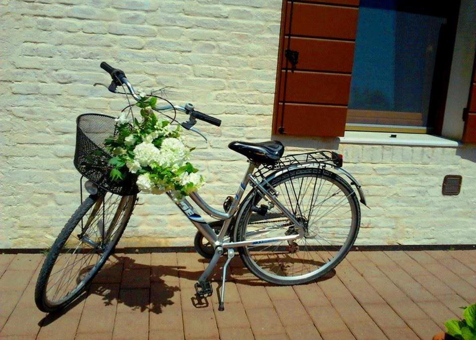 Agriturismo Colombera Quarto dʼAltino Kültér fotó